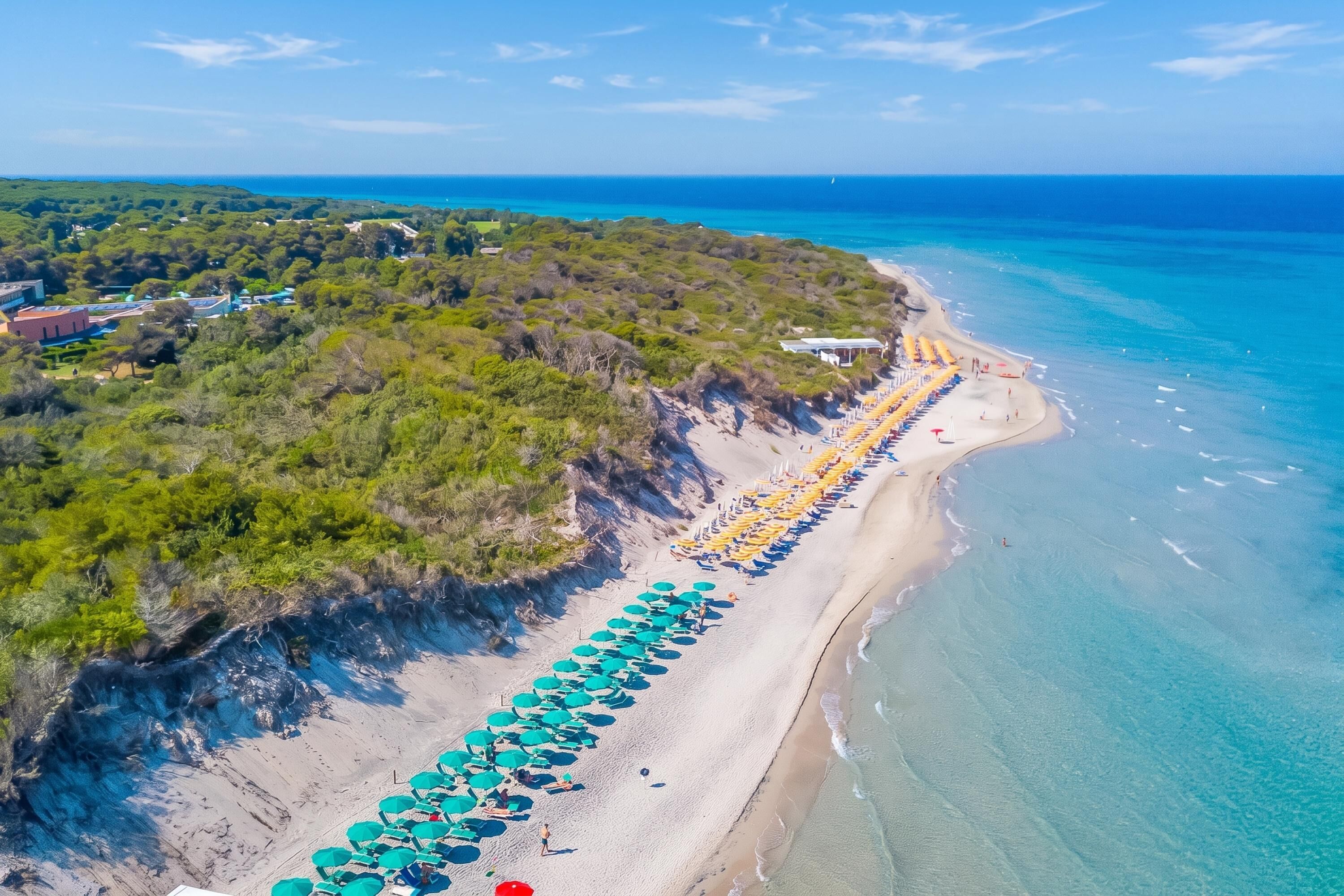 An aerial view of a beach with rows of umbrellas and sun loungers, a clear blue sea, and a forested hillside.