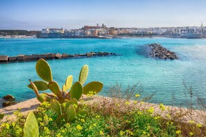 Miscellaneous - Le Onde Apartment 2 with Pool n.115/a, Otranto, Italy (Otranto)
