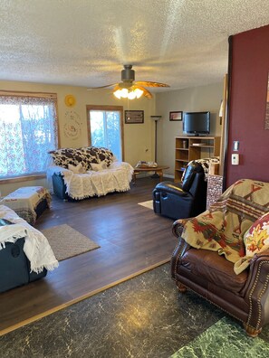 Smart TV, fireplace, books