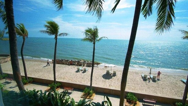 A beach with palm trees, a sandy shore, and a clear view of the ocean. - Enjoyable 1-bedroom bed & breakfast in Shanghai (Shang Hai Shi)