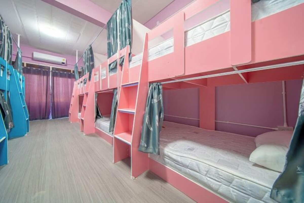 Bed In Bed In 12 Female Dormitory Room