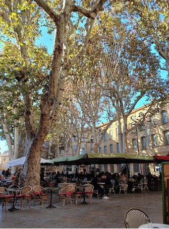 An outdoor café with wicker chairs and tables, surrounded by trees and buildings.. Apartment 'Finsonius Studios 4' with Shared Terrace, Shared Garden and Wi-Fi