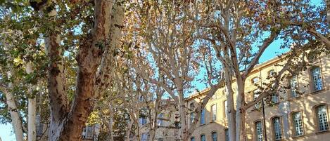 تناول الطعام بالخارج