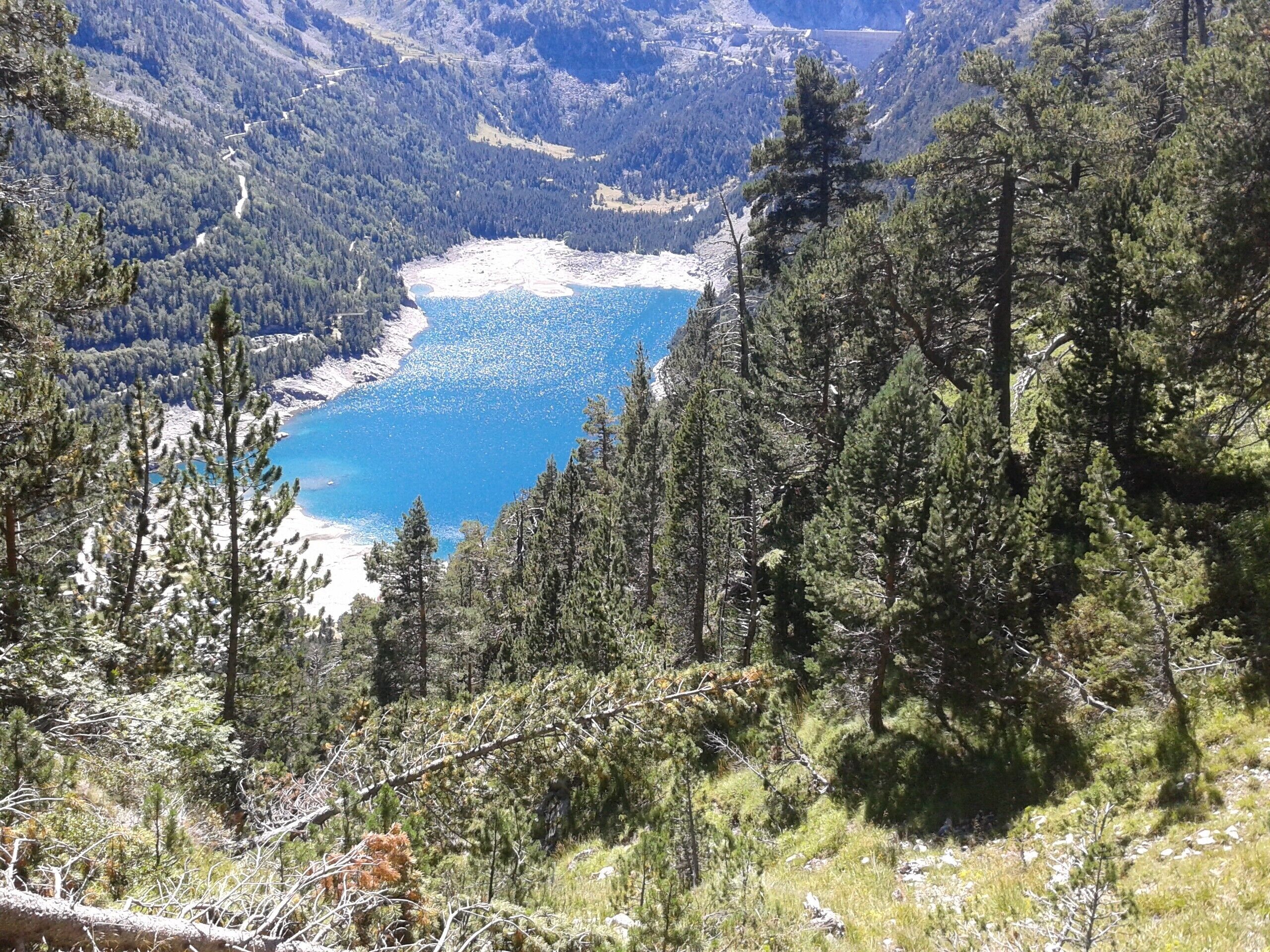 A mountainous landscape with a lake and dense forest.