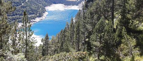 A mountainous landscape with a lake and dense forest.