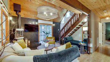 Télévision, cheminée, livres