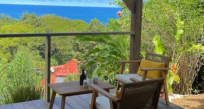 Charming T1 50 m from Anse Bonneville beach, beach and idleness guaranteed!