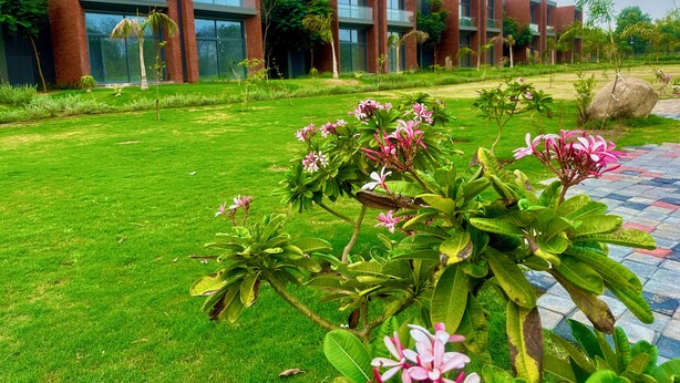 A modern building with large windows and a well-maintained garden with green grass and pink flowers.