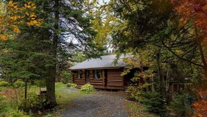 A rustic log cabin with a gravel path leading to the entrance, surrounded by dense trees and autumn foliage. - La Pitoune SPA privé - 6 pers  (Saint-Luc-de-Bellechasse)