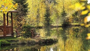 Un pabellón de madera junto a un lago tranquilo rodeado de follaje otoñal.