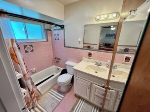 Shower, hair dryer