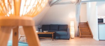 Le Nid d'Aigle - Spacious attic accommodation