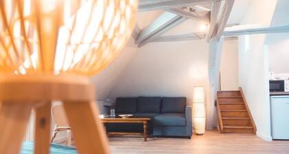 Le Nid dâAigle - Spacieux logement sous les toits