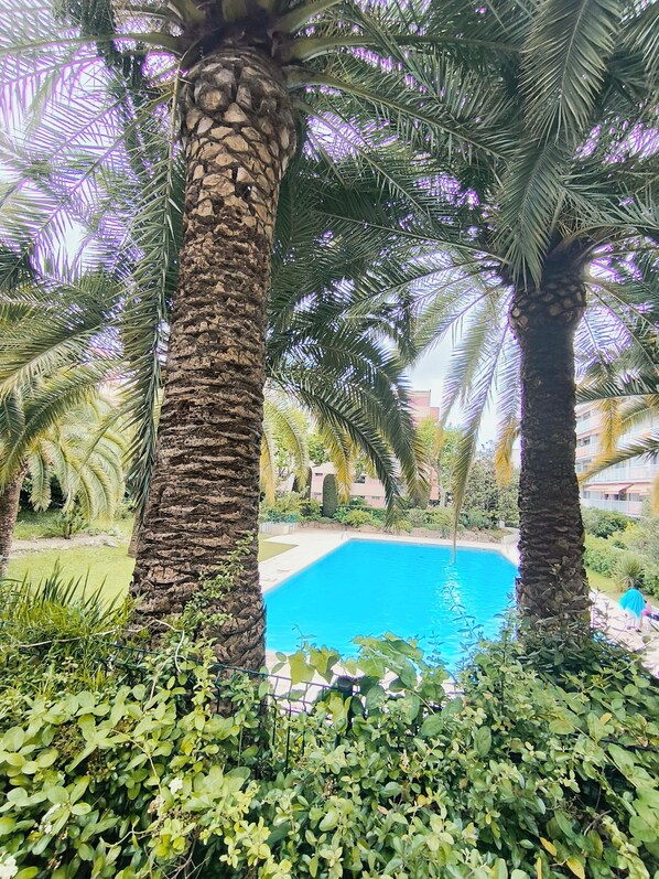 حمام سباحة