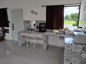 Deluxe Studio Suite | 1 bedroom, free WiFi