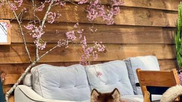 House, 3 Bedrooms, Smoking | Property grounds