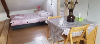 Furnished studio in the city center 