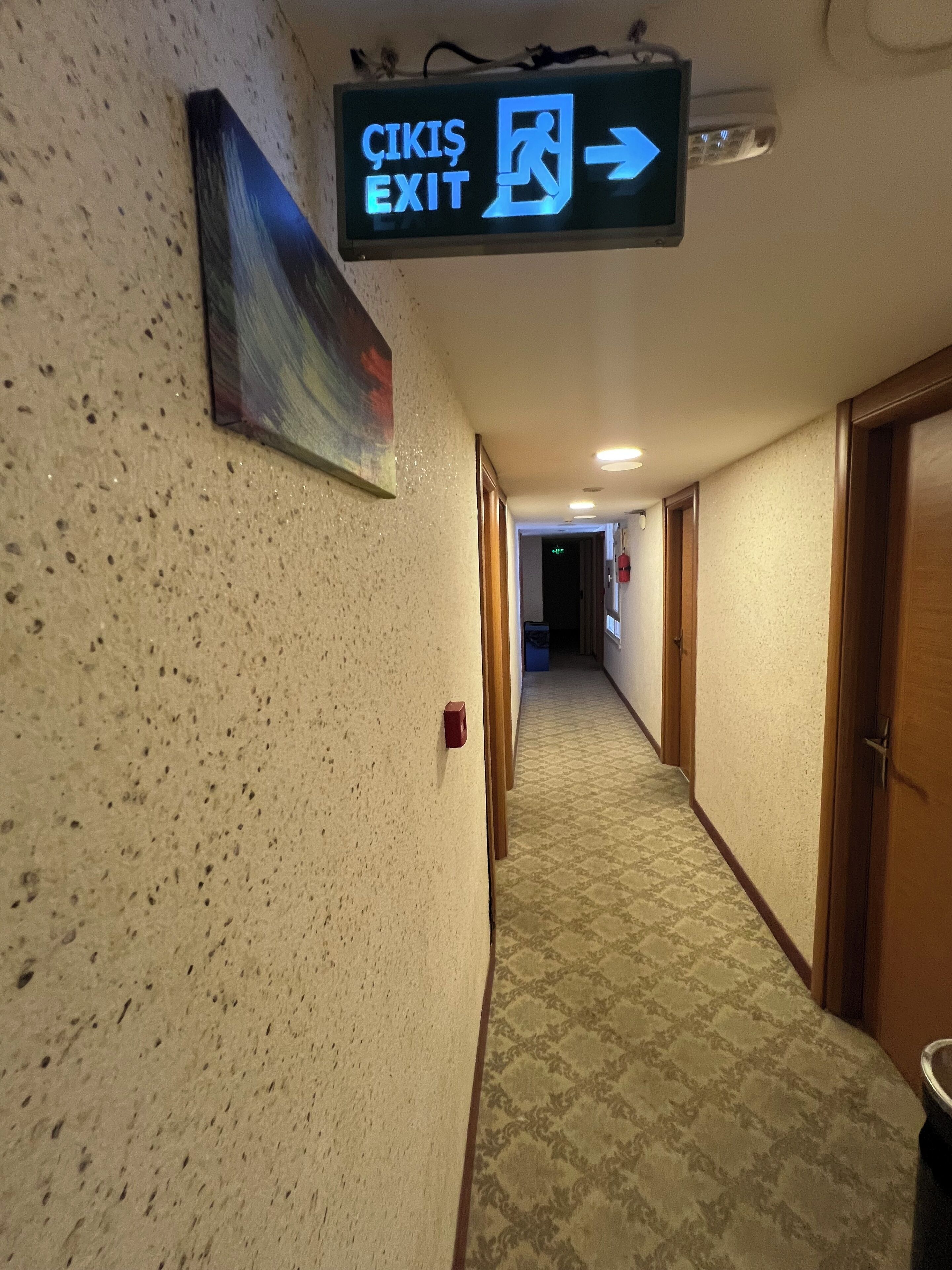 A hallway with a sign indicating an exit, a patterned carpet, and a door on the right.