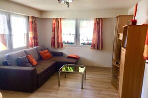 Smart-TV, Kamin, DVD-Player, Stereoanlage