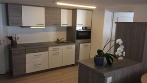 A modern kitchen with grey cabinets, a built-in oven, and a sink. - Chalet in Saas Fee near Ski Slopes (Saas Grund)