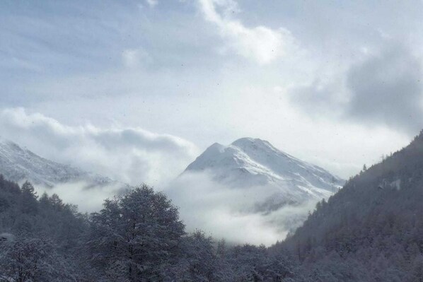 A snow-covered mountain peak with a forested valley below. - Chalet Stadel: Alpine Comfort (Saas Grund)