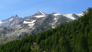 A mountainous landscape with snow-capped peaks, dense green forest, and rocky terrain. - Chalet Stadel: Alpine Comfort (Saas Grund)
