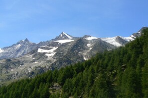 Un paisaje montañoso con picos nevados, un bosque verde denso y terreno rocoso.