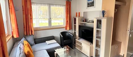 Fernseher