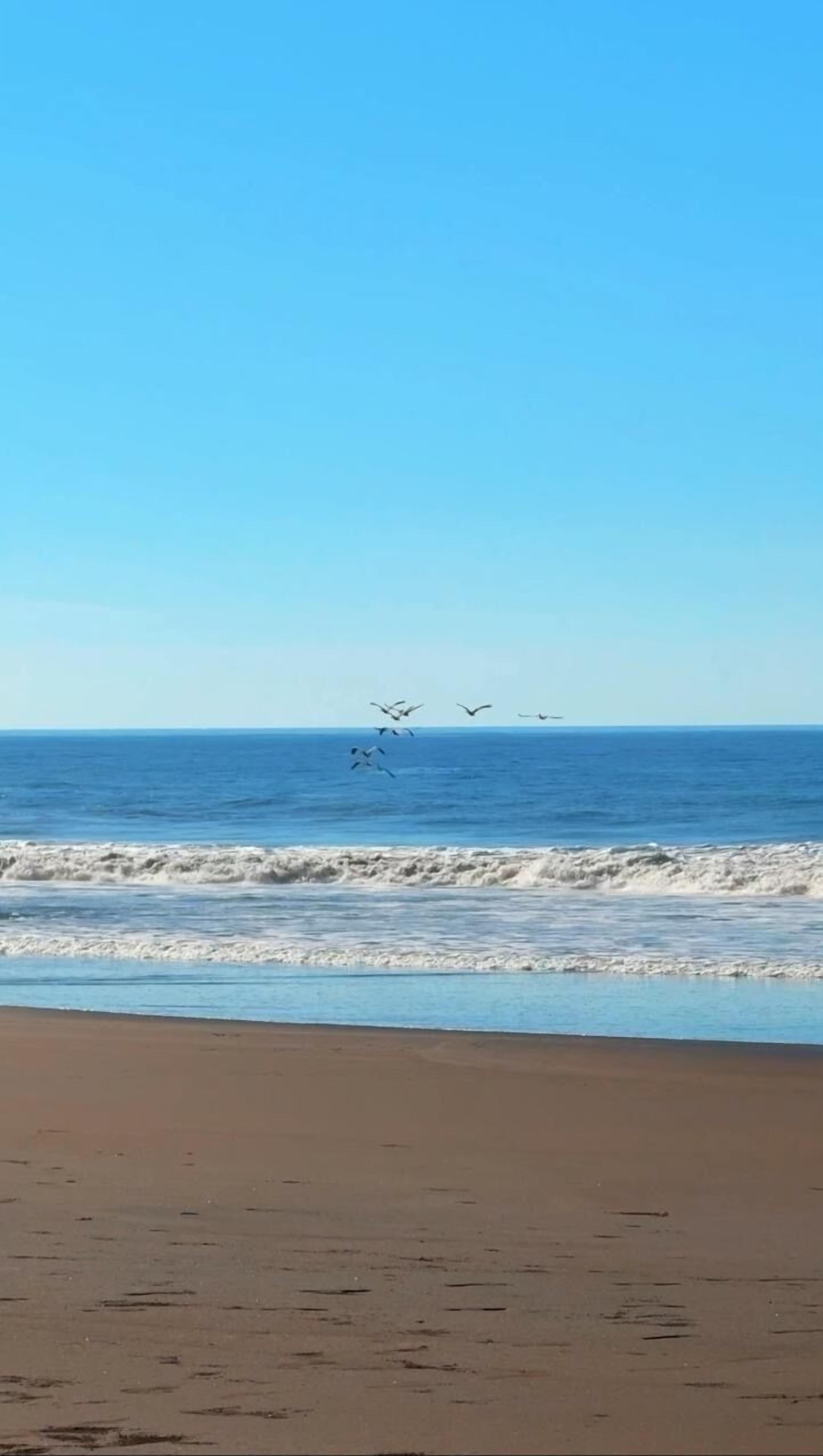 Plage à proximité, chaises longues, serviettes de plage