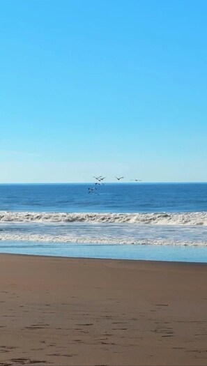 Beach nearby, sun-loungers, beach towels