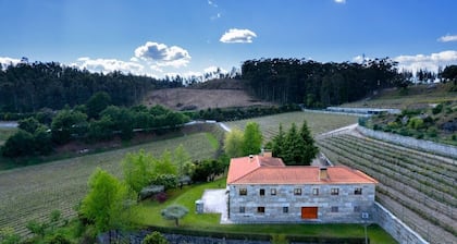 Quinta Picouto de Cima