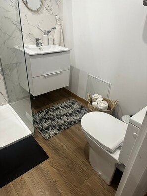 Hair dryer, towels, toilet paper