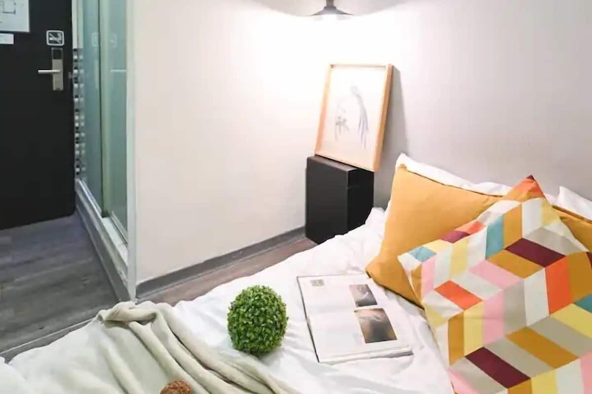 A modern hotel room with a bed, a bedside table with a framed picture, a colorful pillow, and a small decorative plant.