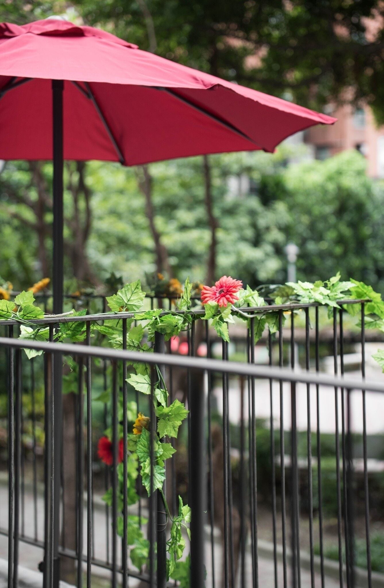 Double Room, Park View | View from room