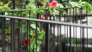 A balcony with a red umbrella, greenery, and a flower. - At Home Hotel Zhongshan (Taipei)