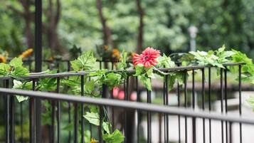 Tweepersoonskamer, uitzicht op park | Uitzicht vanuit de kamer