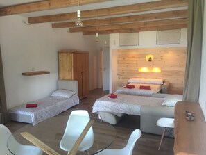 1 bedroom, iron/ironing board, WiFi, bed sheets