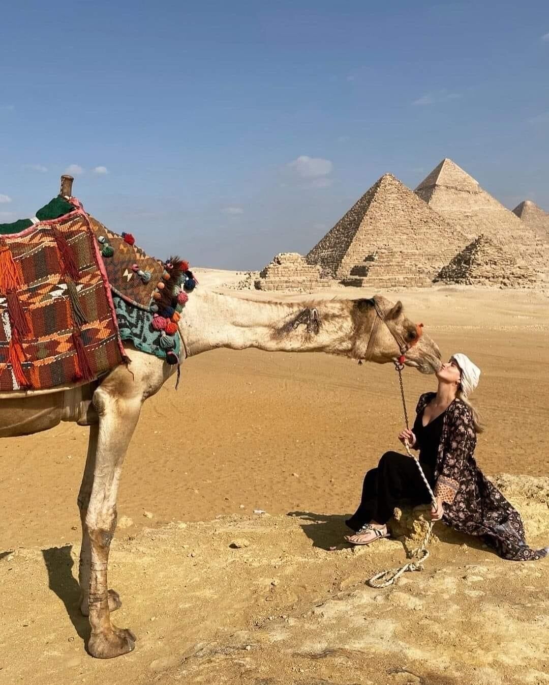 Un camello con una silla de montar decorada en un desierto con pirámides al fondo.
