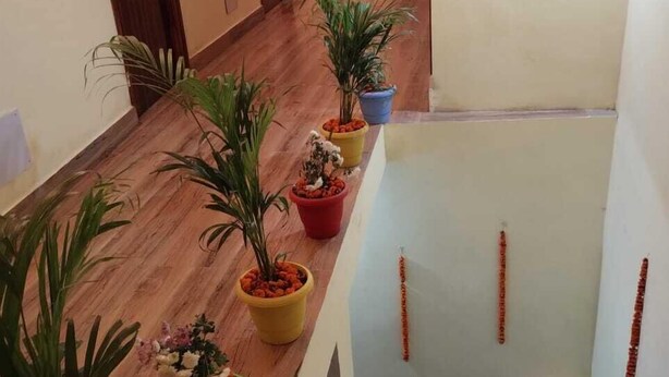 Un couloir d’hôtel avec un plancher en bois, des plantes en pot et des tableaux encadrés accrochés aux murs.
