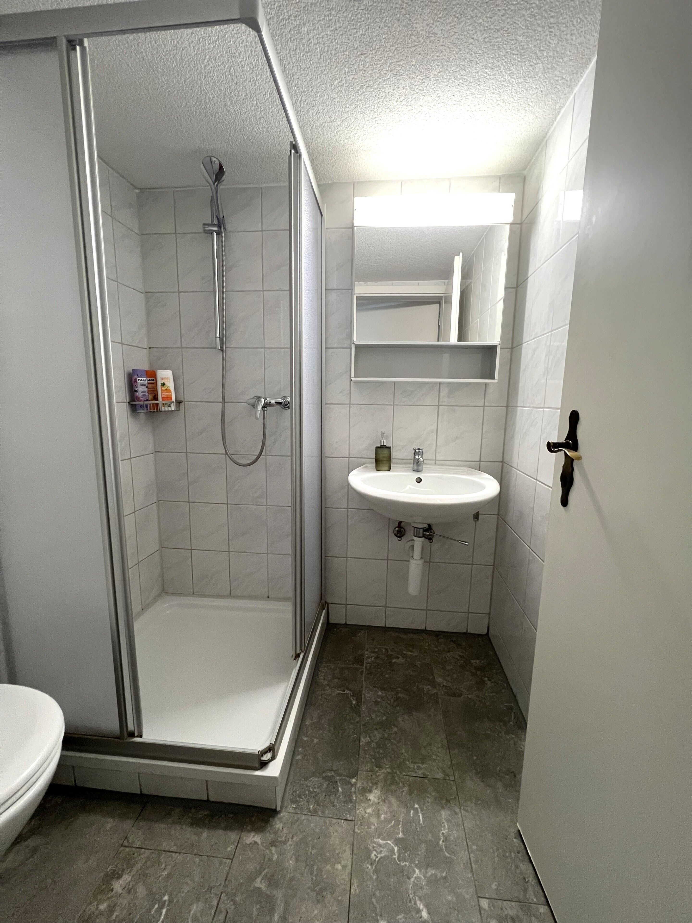 Un bany amb dutxa, vàter i rentapans.