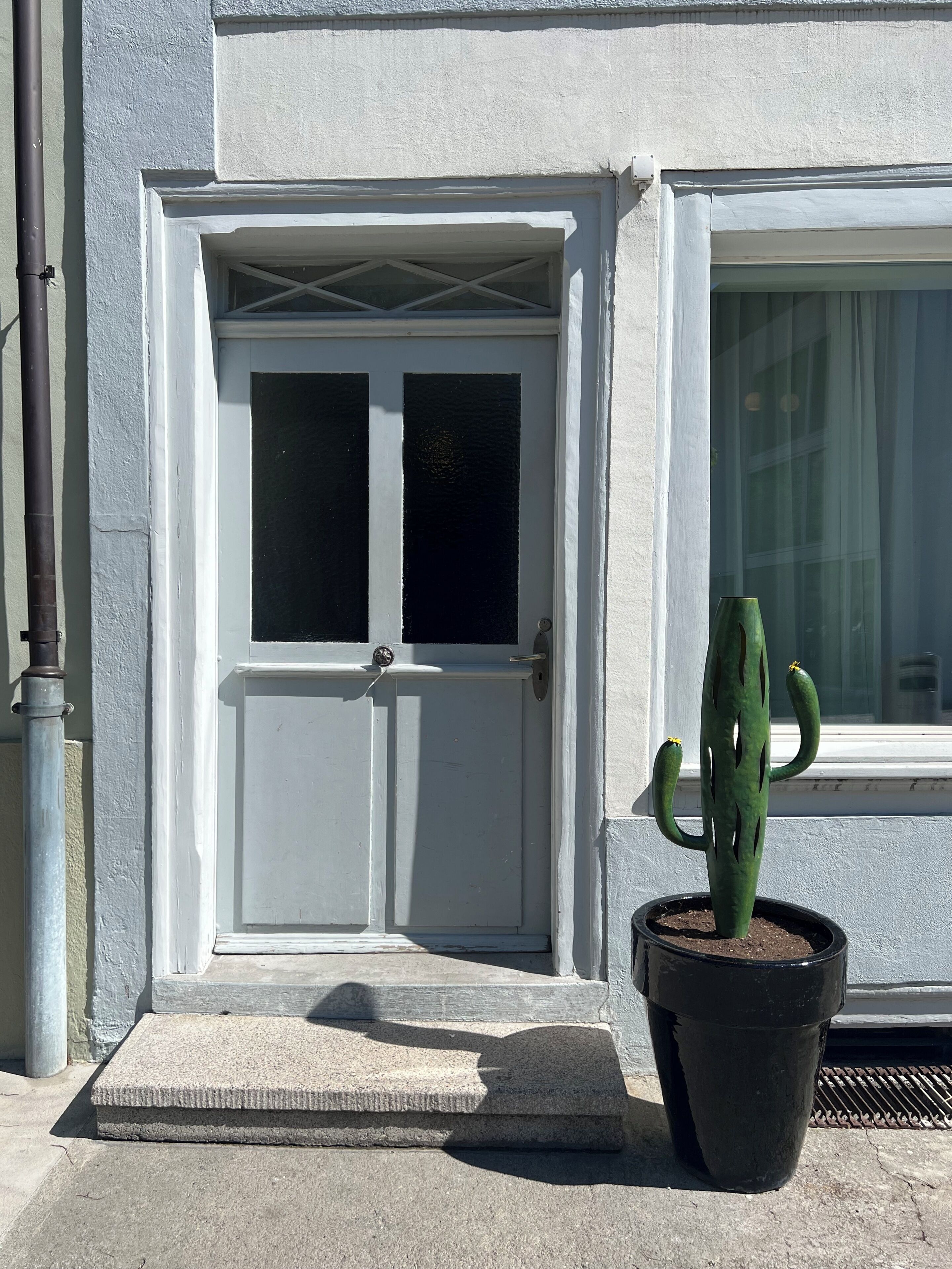Una porta bianca con una finestra sopra, un cactus in vaso e un gradino in cemento che conduce alla porta.