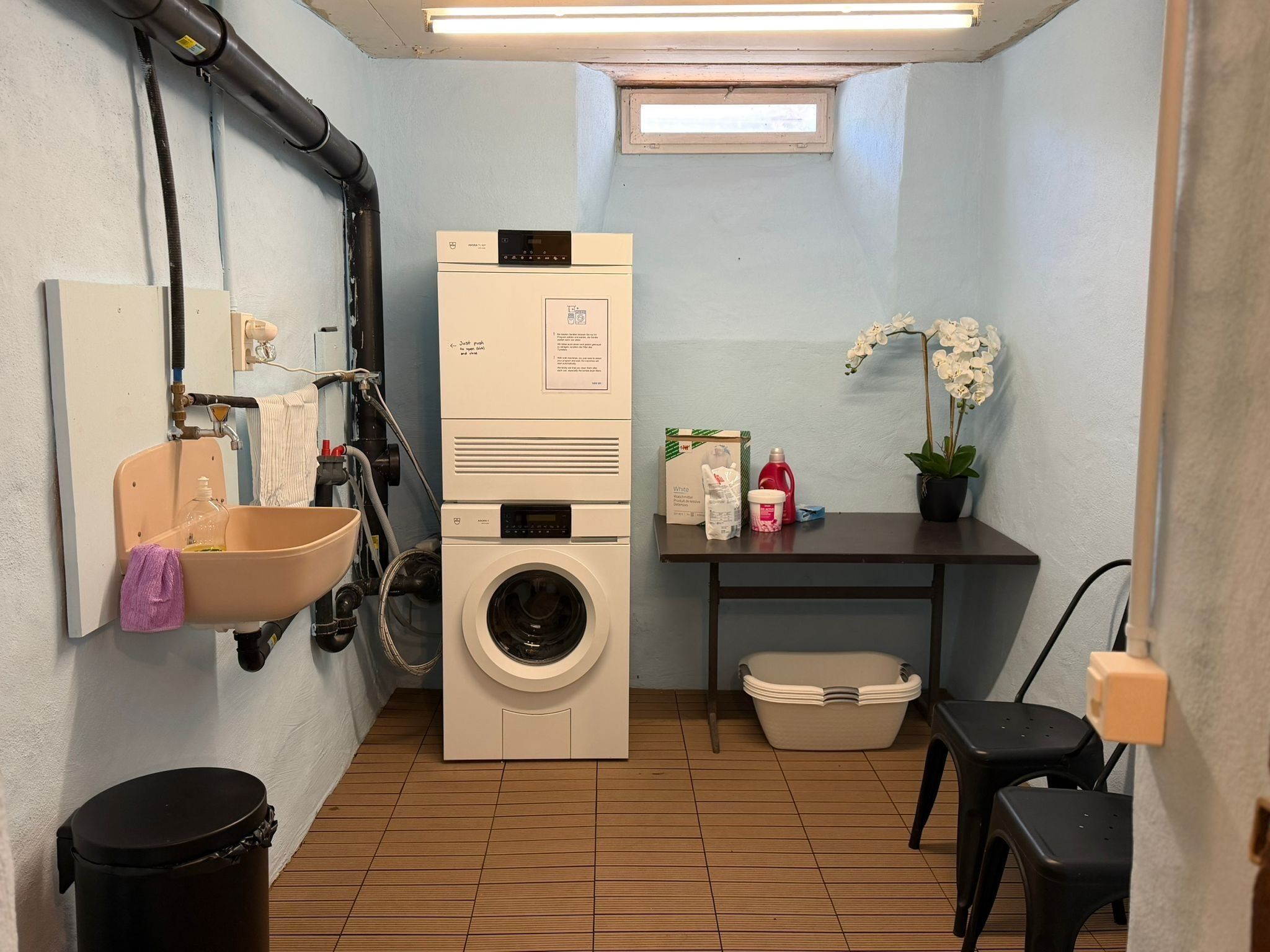 A laundry room with a washing machine, a sink, a trash bin, and a small table with a potted plant.