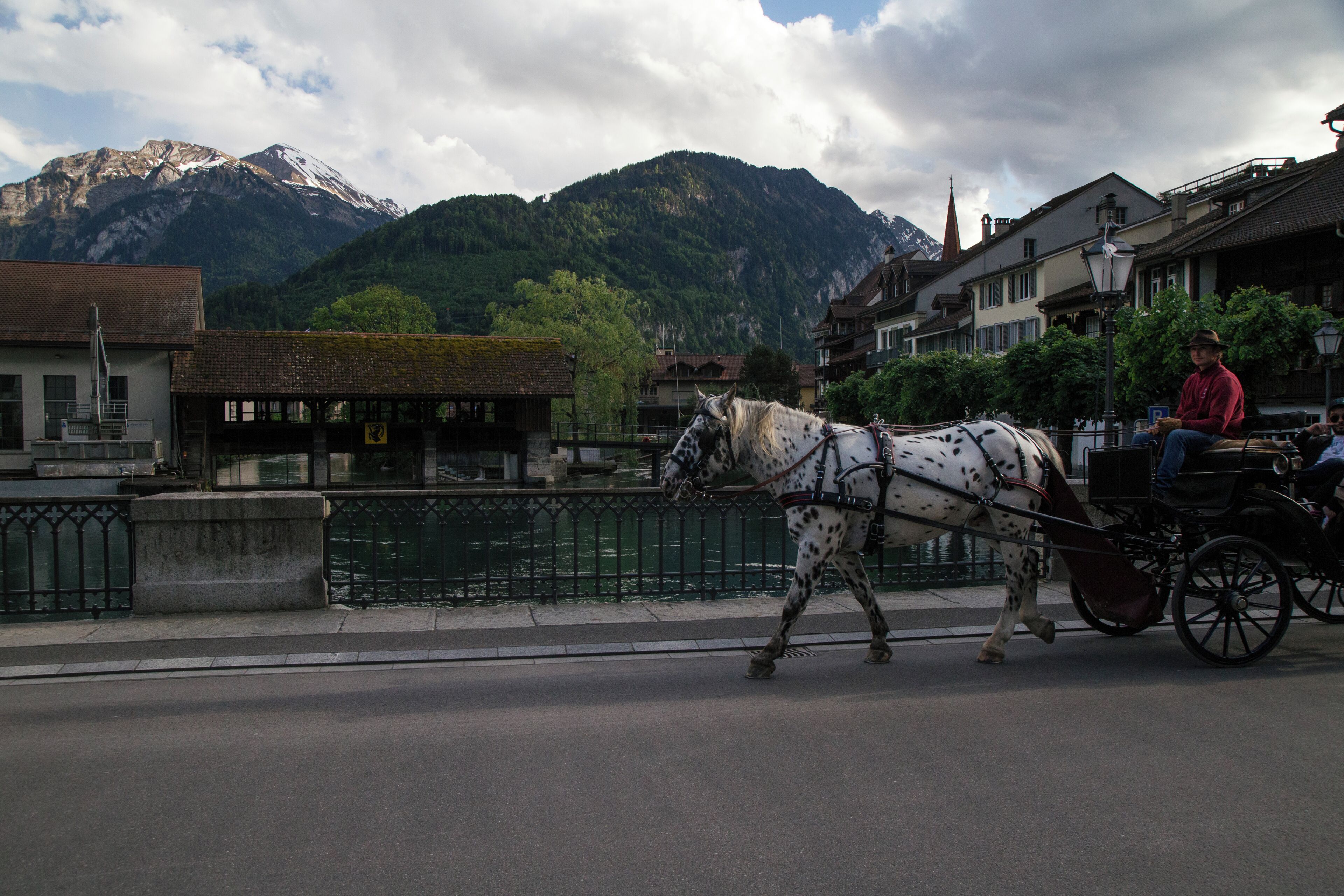 A horse-drawn carriage on a paved road with buildings and a mountain in the background.