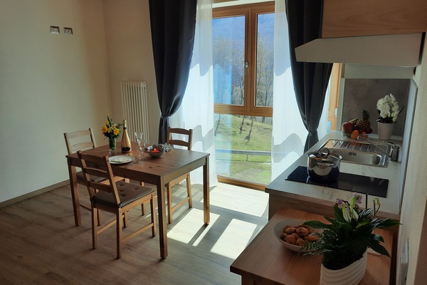 Comfort Apartment, Lake View | Cribs (surcharge), WiFi (free), bed sheets