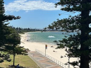 A beach with a paved walkway, trees, and a clear view of the ocean. - 5 minutes to the beach!  (Brighton-Le-Sands)