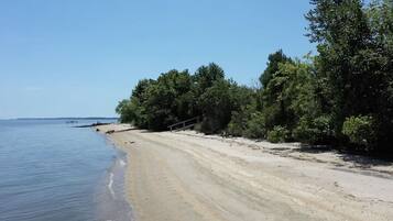 Enjoy a serene beach experience surrounded by lush greenery and the soothing sound of gentle waves.