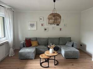 Smart-TV, Kamin