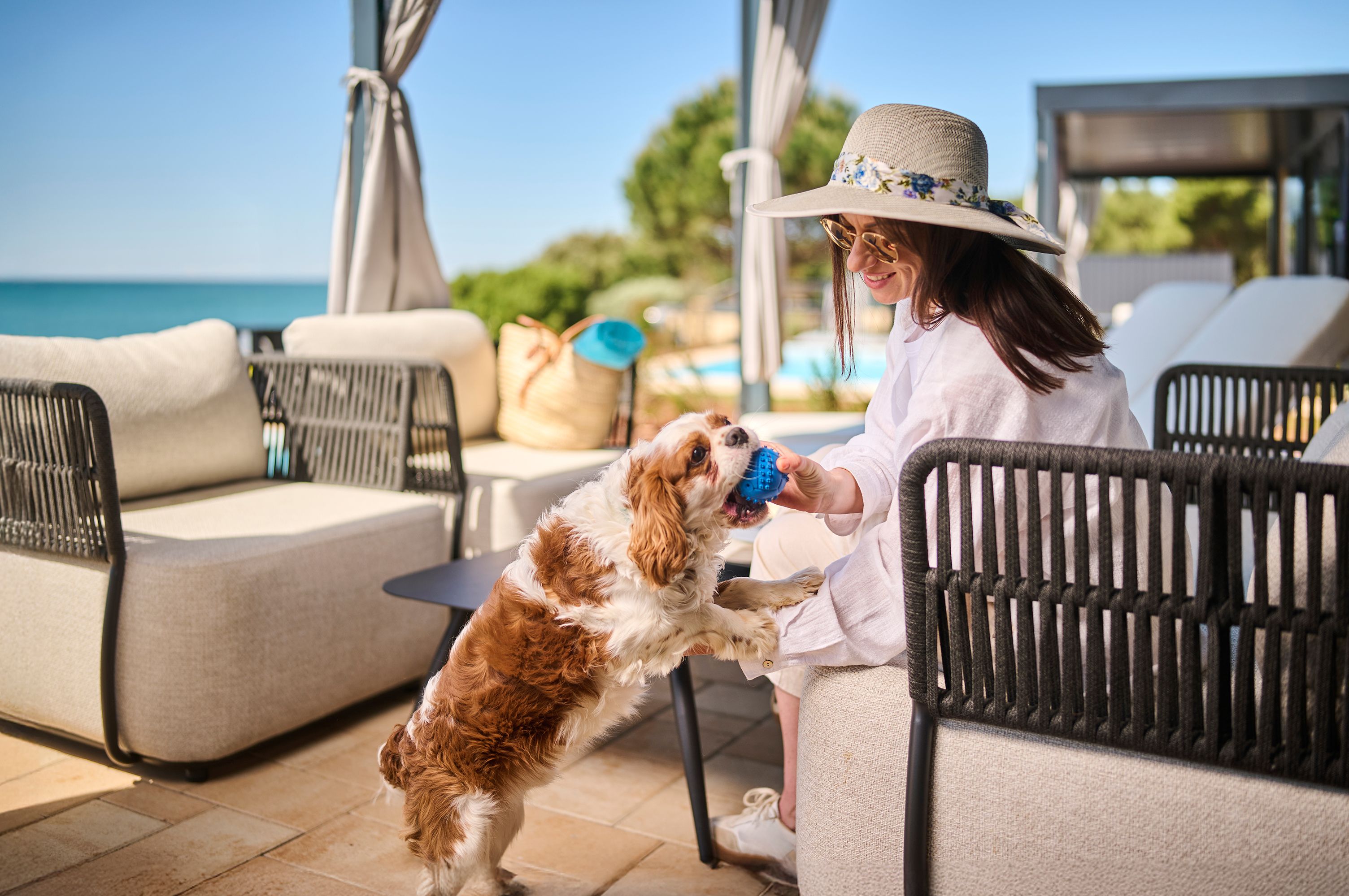 A person sitting on a chair with a dog standing on its hind legs, a beach view, and outdoor furniture.