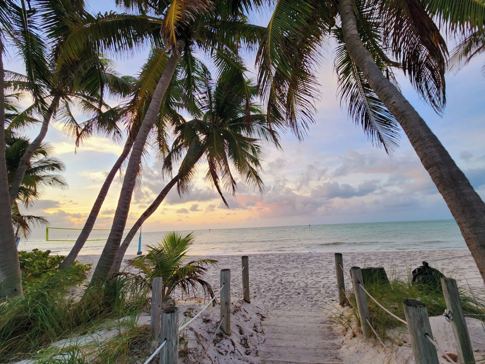 A beach path with palm trees and a wooden fence leading to the ocean.