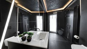 Appartement Panoramique, balcon, vue fleuve | Salle de bain | Articles de toilette gratuits, sèche-cheveux, serviettes fournies, savon